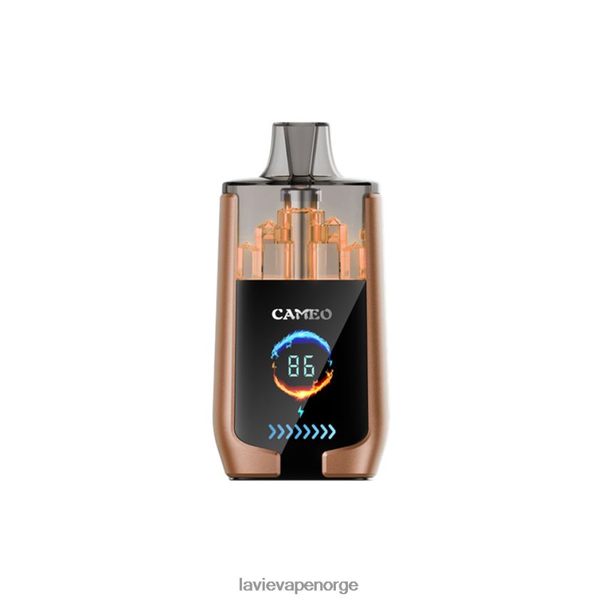 4P826618 Lavie Vape Oslo | kaffe is LAVIE CAMEO 30 000 drag